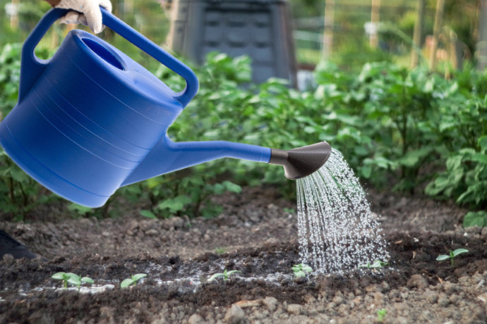 Лейка садовая, 10 л, пластмассовая