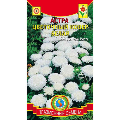 Астра Цветочный ковер Белая Плазма Ц