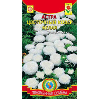 Астра Цветочный ковер Белая Плазма Ц