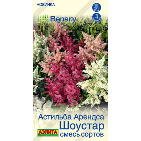 Астильба Шоустар смесь Аэлита Цх10