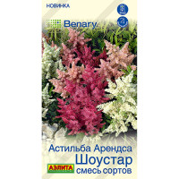 Астильба Шоустар смесь Аэлита Цх10