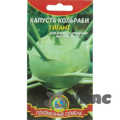 Капуста кольраби Гигант Плазма Ц