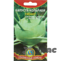 Капуста кольраби Гигант Плазма Ц
