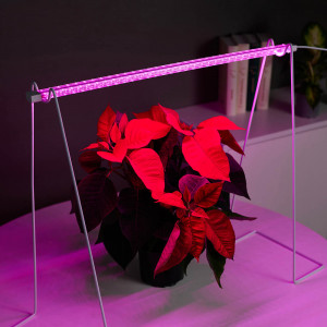 INBLOOM Светильник светодиодный для растений, 32LED, фиолетовый, 54х2.4х1.3см, 8Вт, 220В, ABS