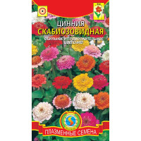 Циния Скабиозовидная смесь Плазма Ц