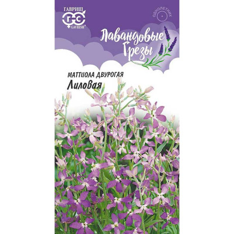 Маттиола двурогая Лиловая Гавриш Ц