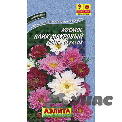 Космос Клик махровый Аэлита Ц