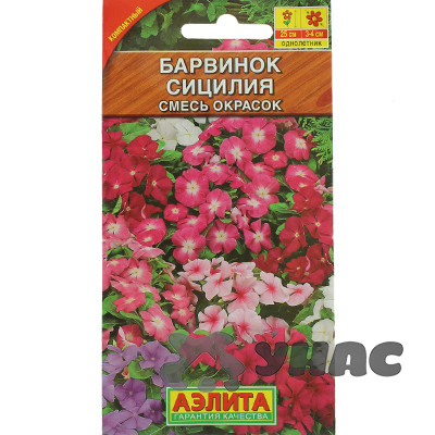 Барвинок Сицилия Аэлита Ц