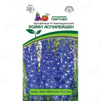 Дельфиниум Ройял Аспирейшн Партнер Ц