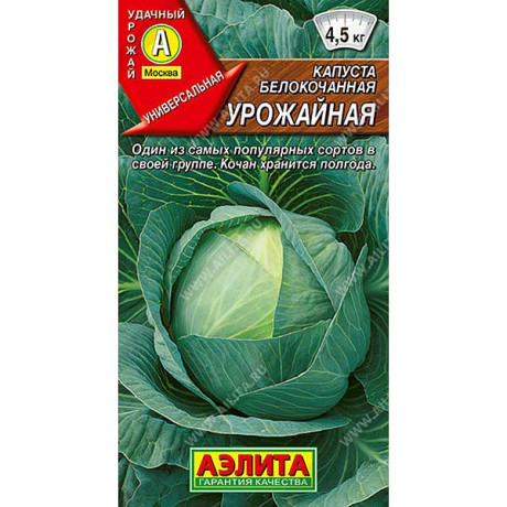 Капуста Урожайная Аэлита Ц