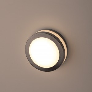 ЭРА WL25  св-к декор. подсветка GX53 MAX 13W IP54 хром/белый 6041