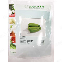 Кабачок Балхаш (Нидерланды)Каприс