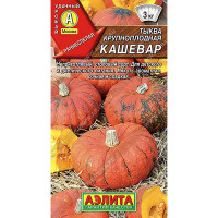 Тыква Кашевар Аэлита Ц