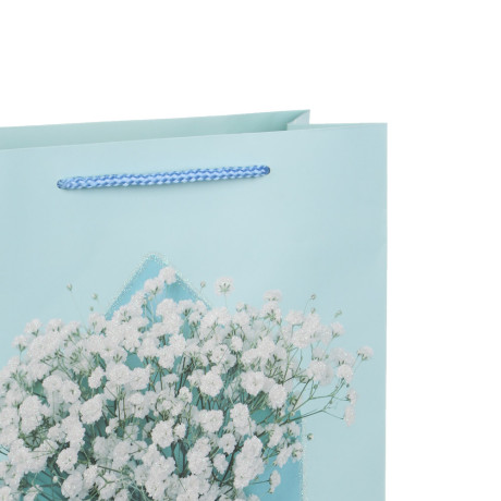 Пакет тм Fntastic подарочный, L 26x32x10см, глиттер, бумага, 4 дизайна