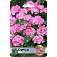 Пеларгония Мультиблум Пинк Биотехника Ц