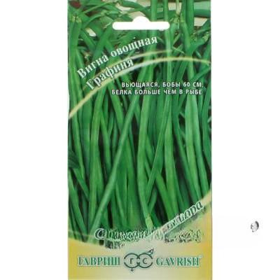 Вигна Графиня Гавриш Ц