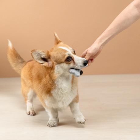 VETTA Игрушка для домашних животных, ТПР, 10х5 см