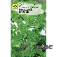 Мята Спиката Семко Ц