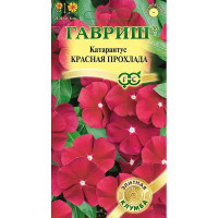 Катарантус Красная прохлада Гавриш Ц