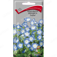 Немофила Голубая менциса Поиск Ц
