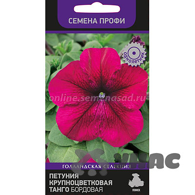 Петуния Танго бордовая Поиск Ц
