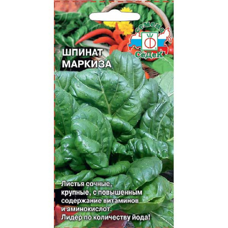 Шпинат Маркиза Седек Ц