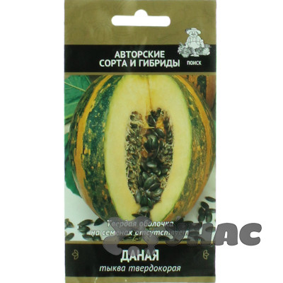 Тыква Даная Поиск Ц