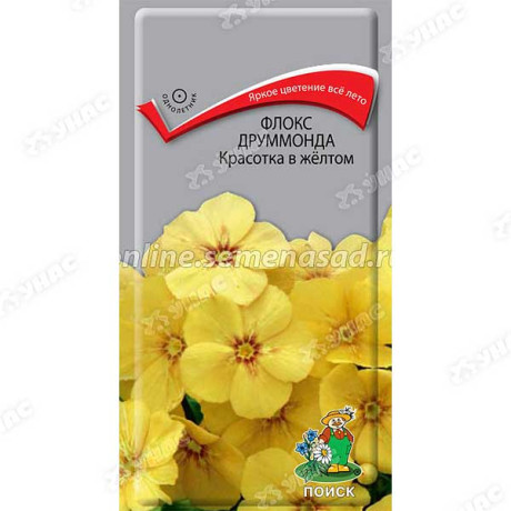 Флокс Красотка в желтом Поиск Ц