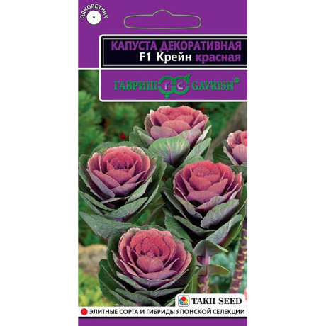 Капуста декор. Крейн красная Гавриш Ц