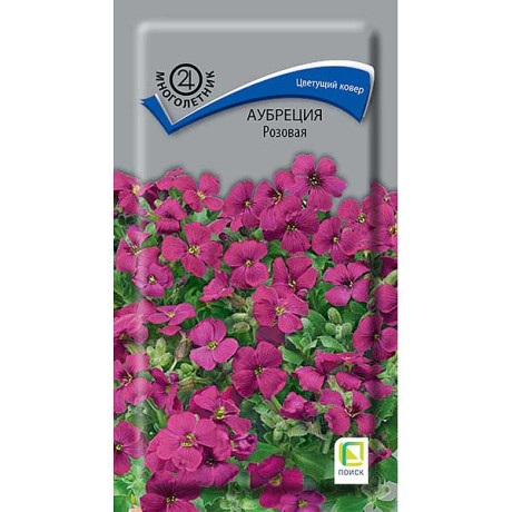 Семена Аубреция Голубая Поиск Ц