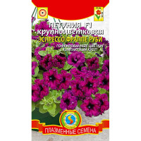 Петуния Эспрессо Фраппе Руби Плазма Ц