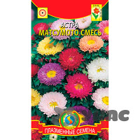 Астра Матсумото смесь Плазма Ц