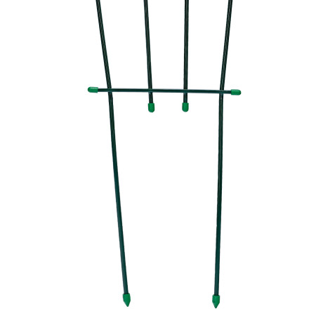 Шпалера «Веер» 0.5/0.9 х 2 м