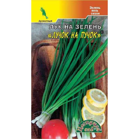Лук на зелень Лучок на пучок  ЦветСад Ц