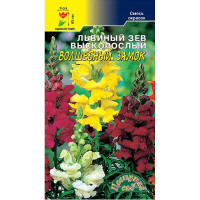 Львиный зев Волшебный замок ЦветСад Ц