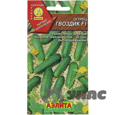 Огурец  Гвоздик Аэлита Ц