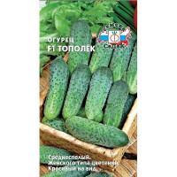 Огурец Тополек  Седек Ц