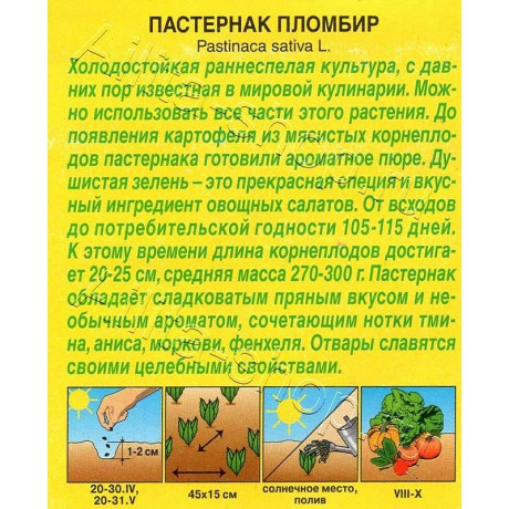 Семена Пастернак Пломбир Аэлита Ц x10