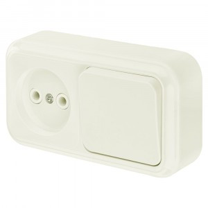 Bylectrica ПРАЛЕСКА Блок (1 выкл. + роз) ОУ беж., (В-РЦ-521 беж.)