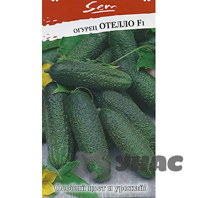 Огурец Отелло F1 НК Ц