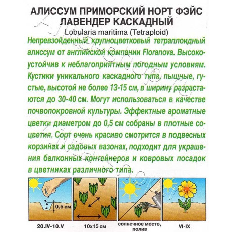 Семена Алиссум Норт фэйс лавендер Аэлита Ц