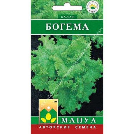 Салат Богема Манул Ц