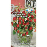 Земляника Мармеладная Седек Ц