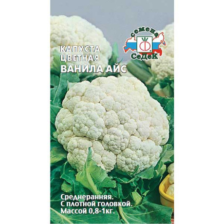 Капуста Ванила Айс цв. Седек Ц