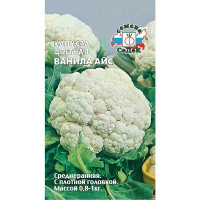 Капуста Ванила Айс цв. Седек Ц