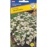 Аренария Монтана Престиж Ц х10