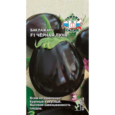 Баклажан Черная Луна Седек Ц