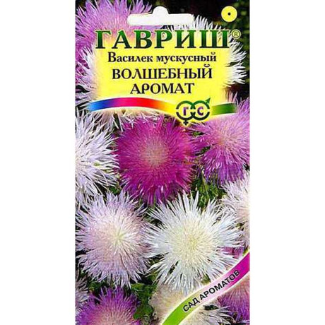 Василек Волшебный аромат мускатный Гавриш Ц