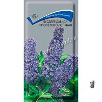 Буддлея Давида Фиолетово-голубая Поиск Ц