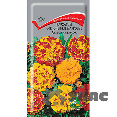 Бархатцы махровая смесь отклоненные Поиск Ц